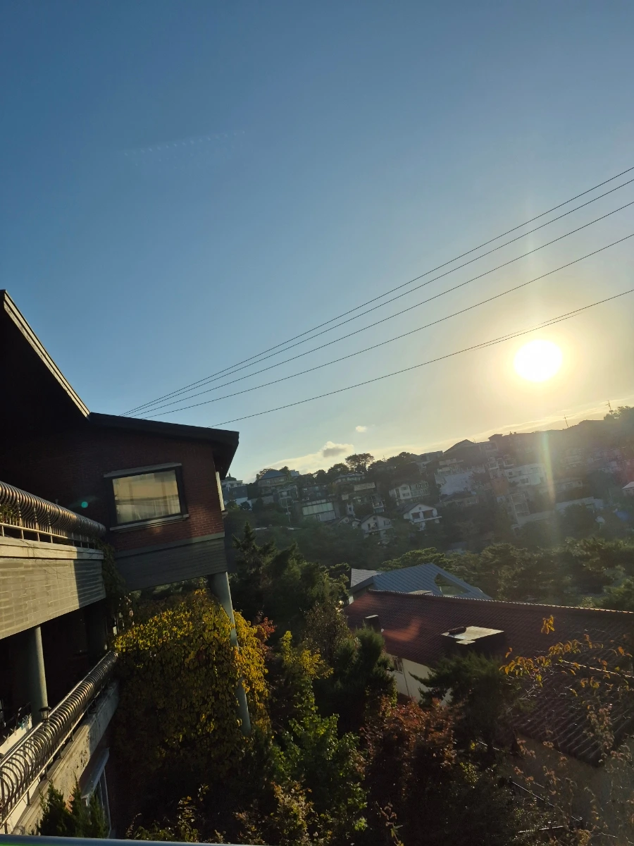 900%EF%BC%BF20251102%EF%BC%BF080734.jpg?type=w966