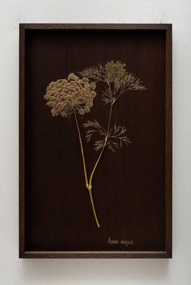 최재은 우리가 처음만났을때.jfif