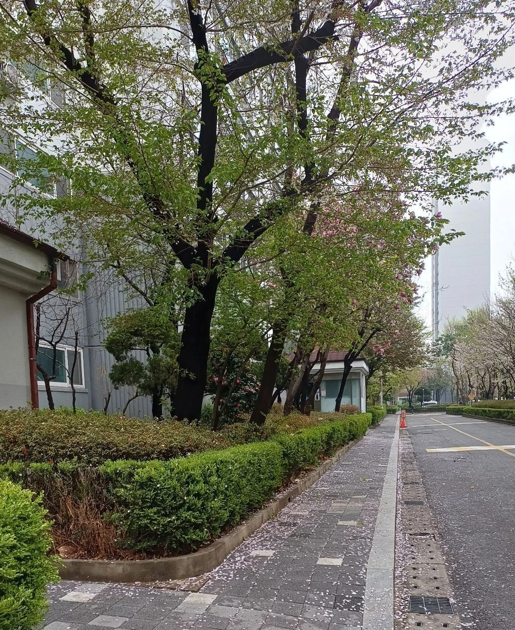 1b85959aacbf06fbe34ca10b287fc866d56470d6