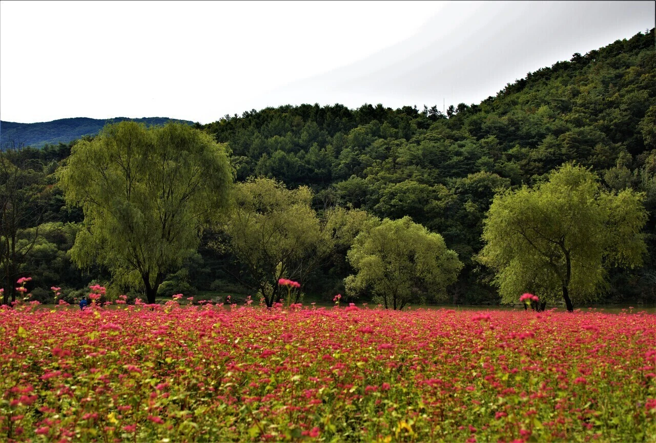 51b990f6a49e72f62ea7cc3cdcd1d4a5b8b0e663