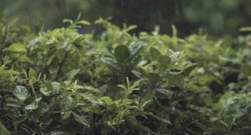 c93a17b1f7273c86f12855a961b3451b2b70bfa9