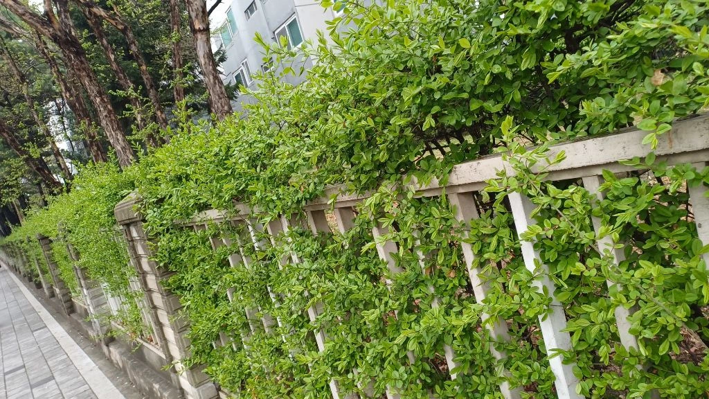 62874dbb6b189c2586f3915bfbf4ffd7838817d7