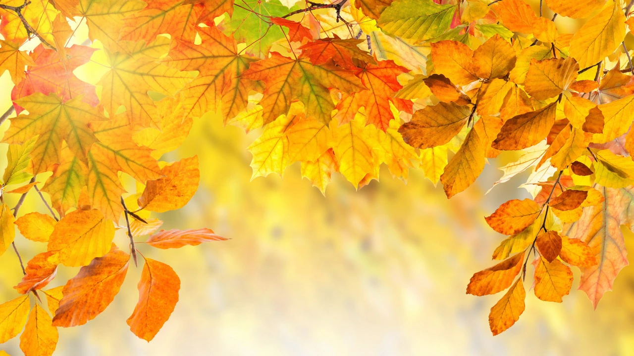 cc9445dbf96aa3a6936edaa49ddd762acf617cec