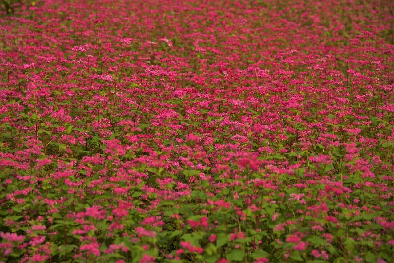 f895c5ad5cb06945f508d0ddecaa14ae8d3fa02d