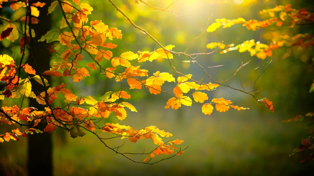 dac1279458897f080dbcd5866a40b7e08be676ab