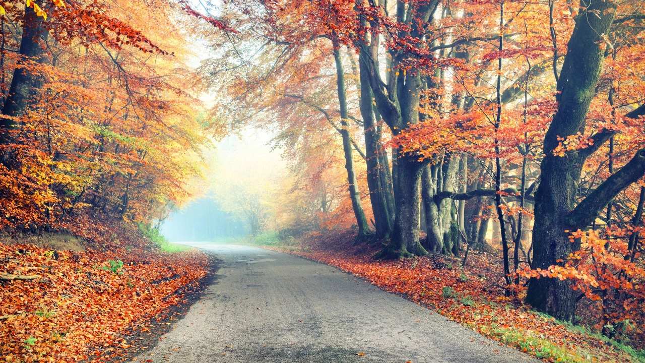 7dd87dd767657d1e0943bf91875319eacba21873