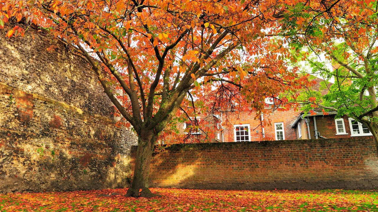 3007847c397dd17874fd0515cc9358800d5d3392