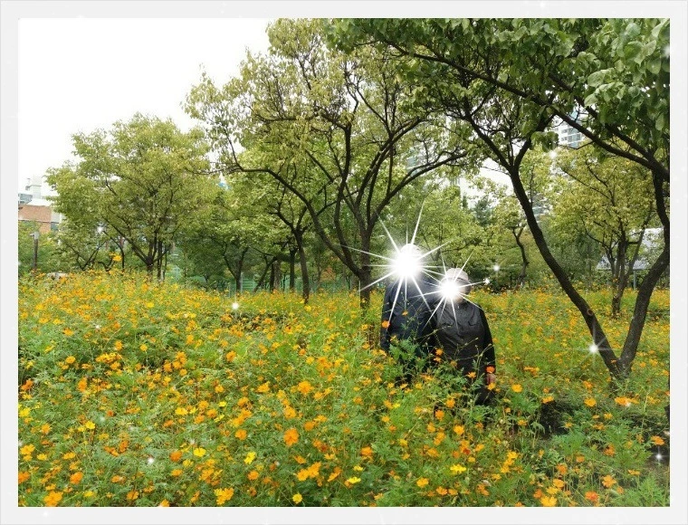 9becd976e33085132d058850754c08e928231403