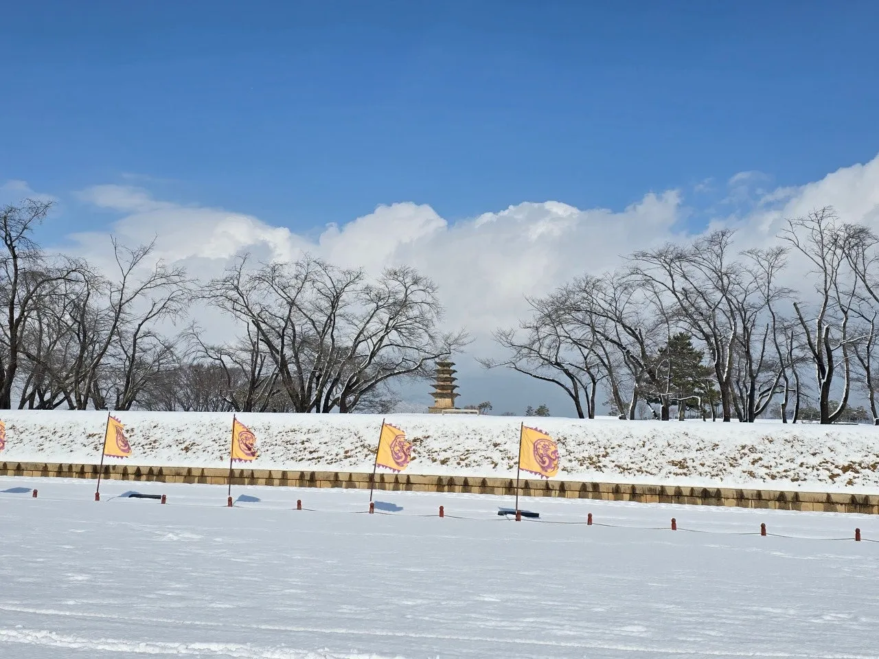 3472594408459480656.jfif