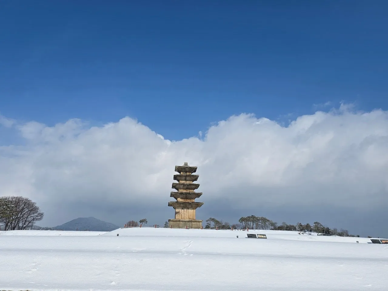 3472594408455902032.jfif