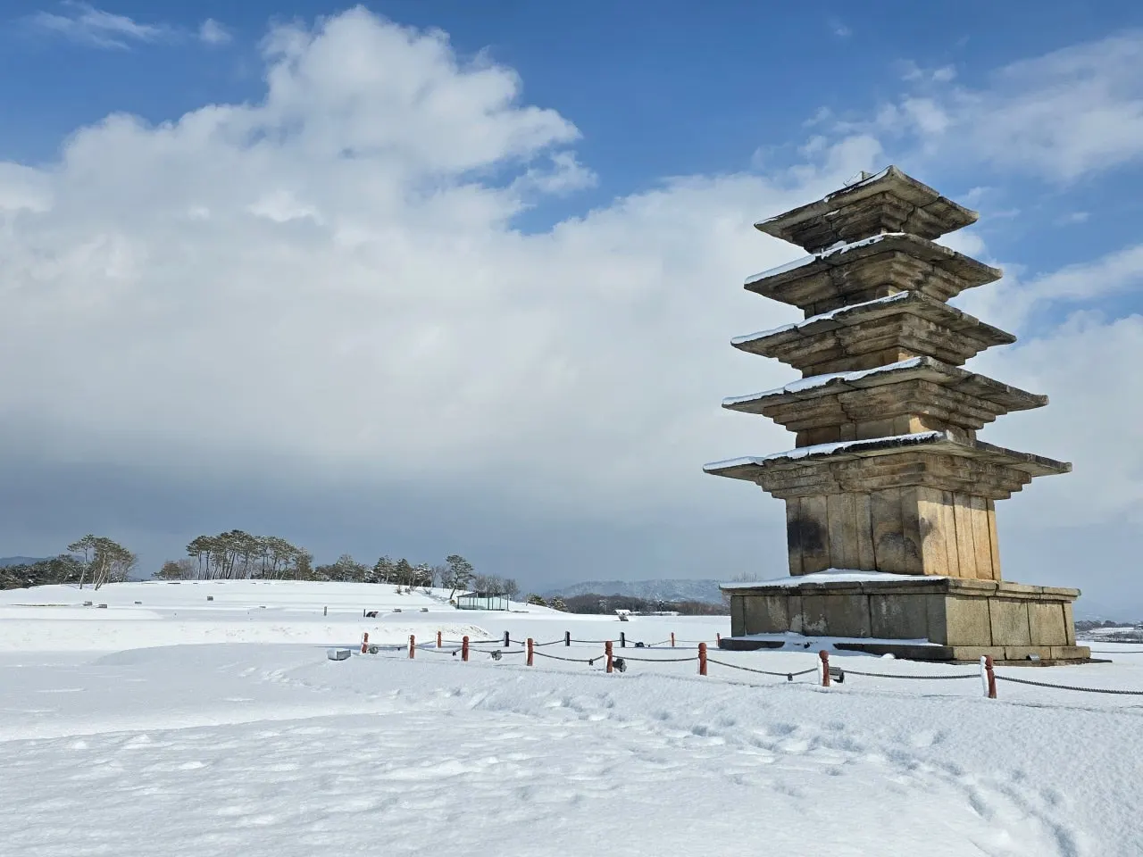 3472594408453202000.jfif