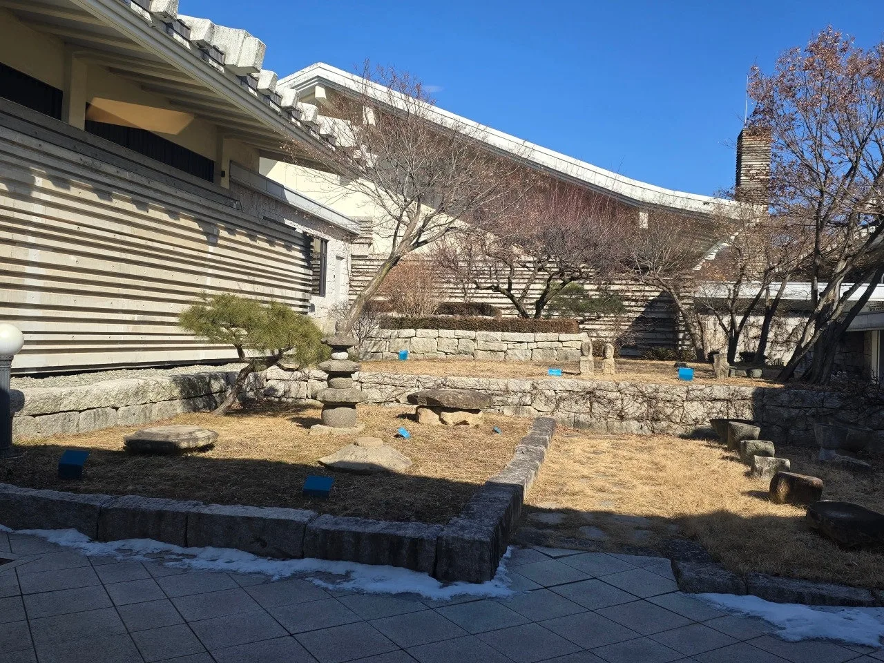 3472595783941099600.jfif