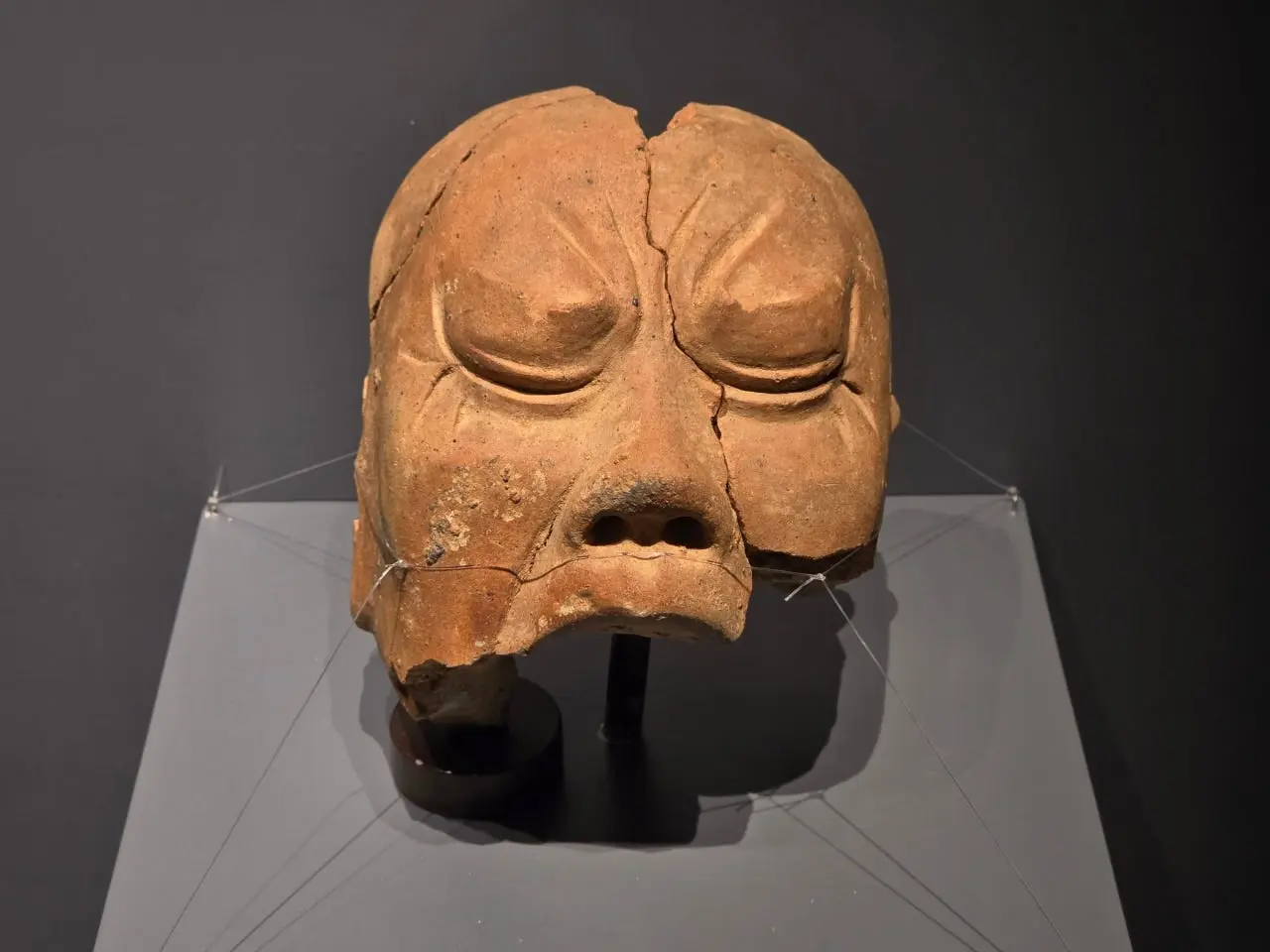 3472594655007245392.jfif