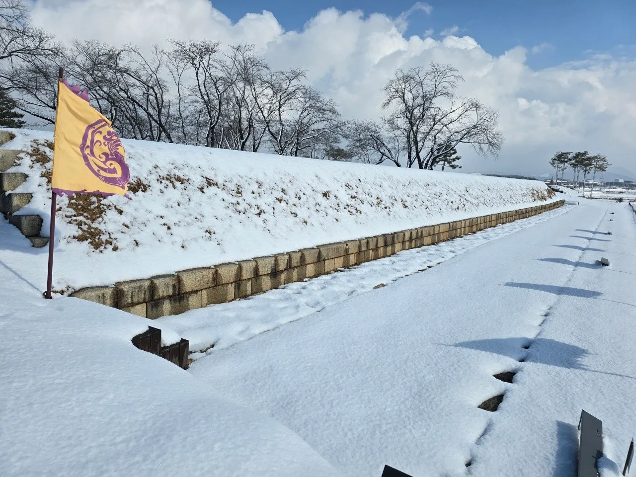 3472594408457897296.jfif