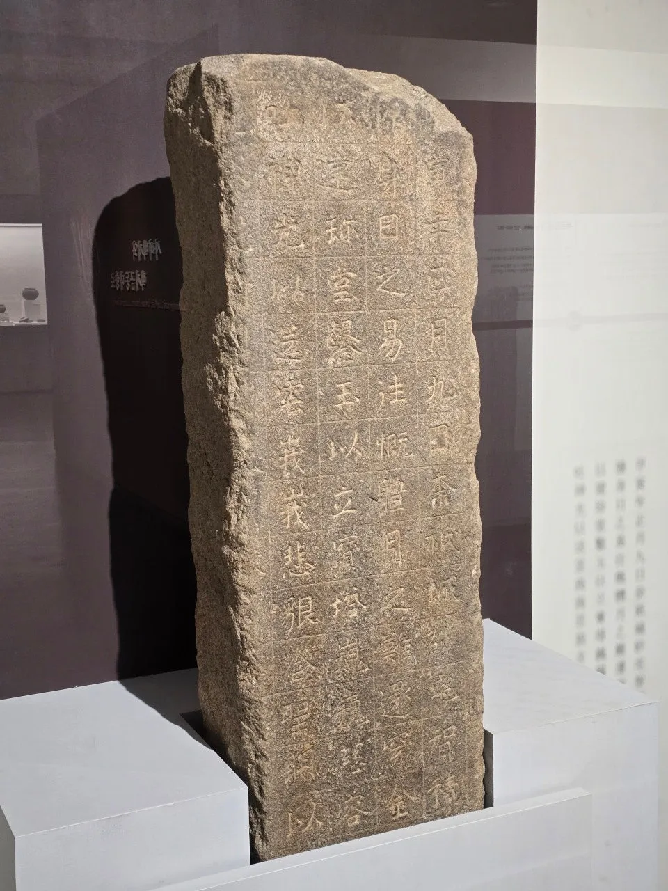 3472594758151934032.jfif