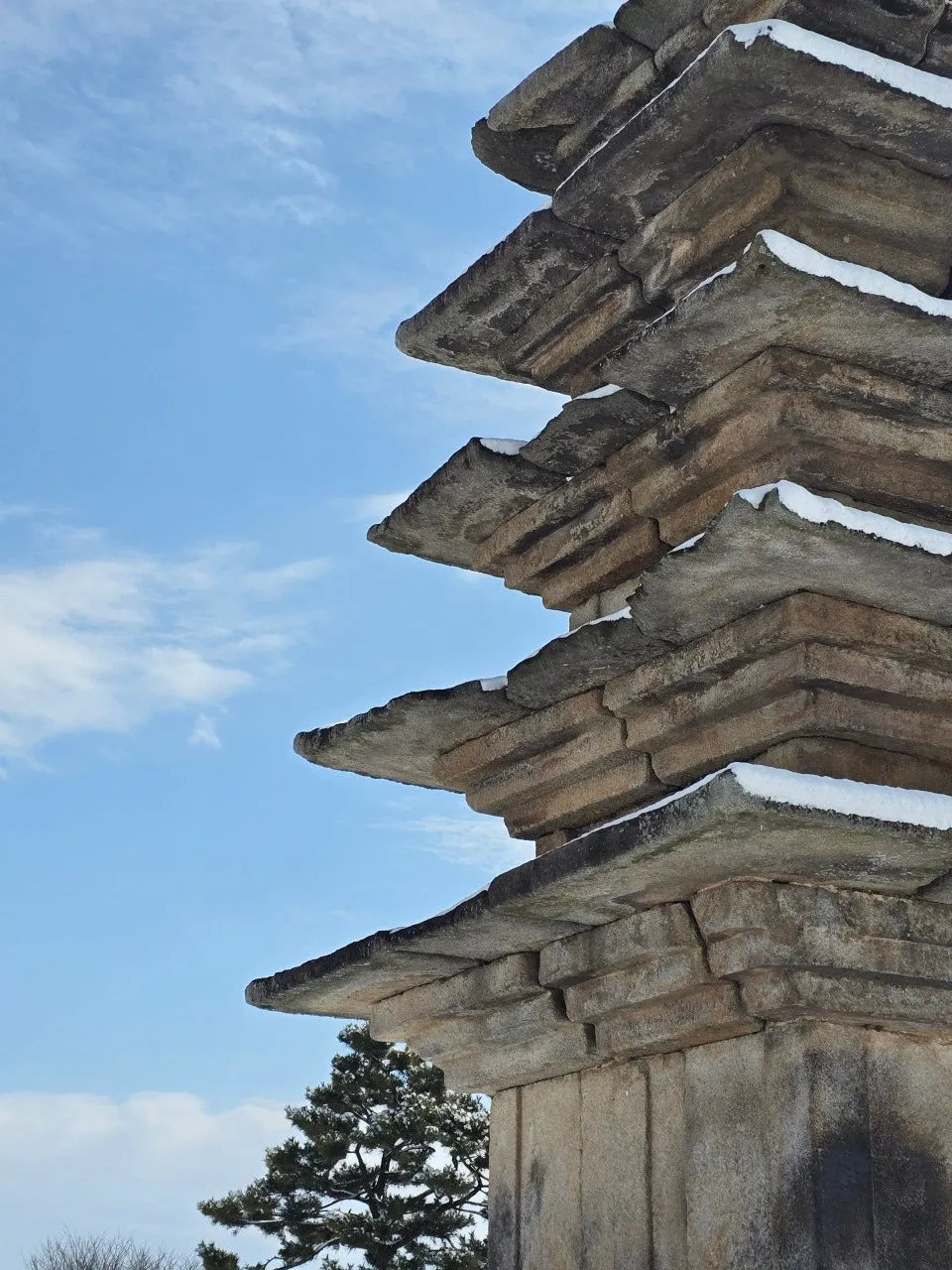 3472594408450754128.jfif