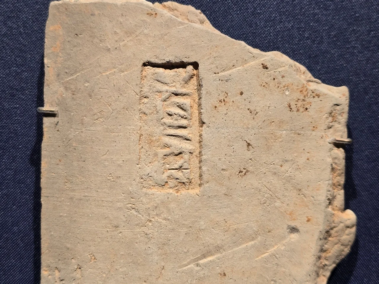 3472594408468055376.jfif