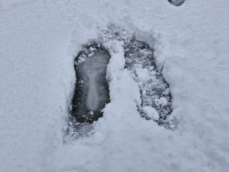 20260208_083615.jpg?type=w773