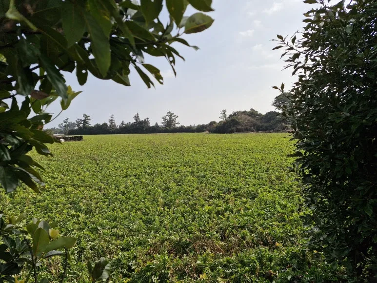 20260117_144539.jpg?type=w773