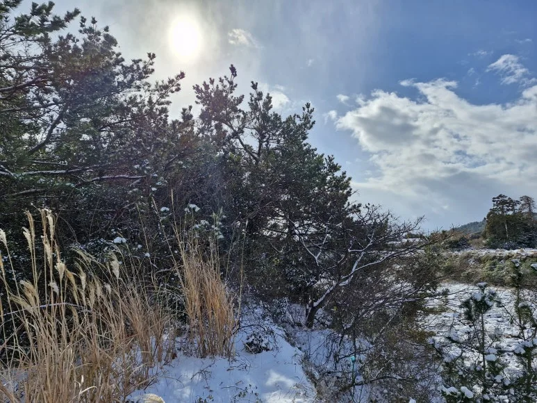 20260102_110047.jpg?type=w773