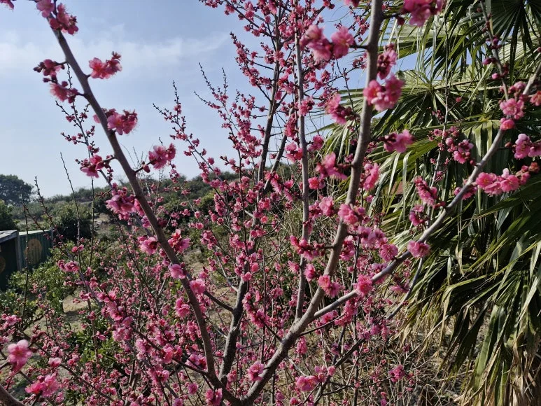 20260129_121915.jpg?type=w773