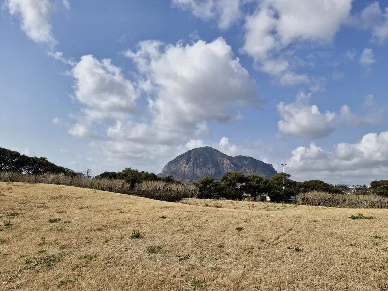 20260115_122932.jpg?type=w773