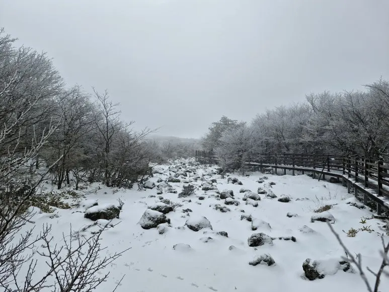 20260211_123100.jpg?type=w773