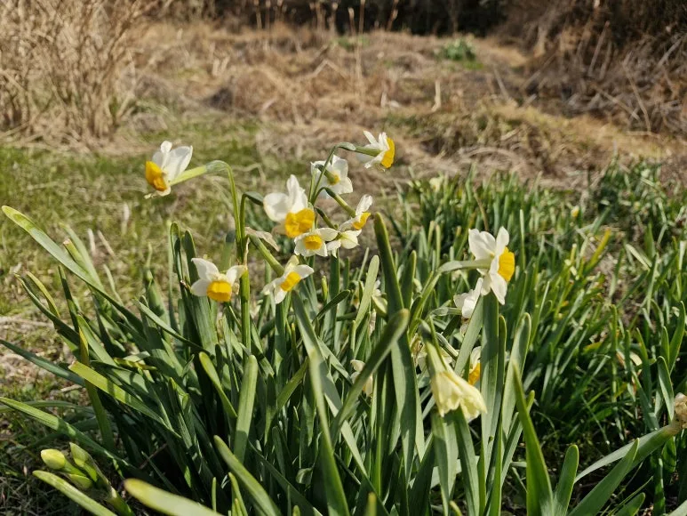 20260129_145052.jpg?type=w773