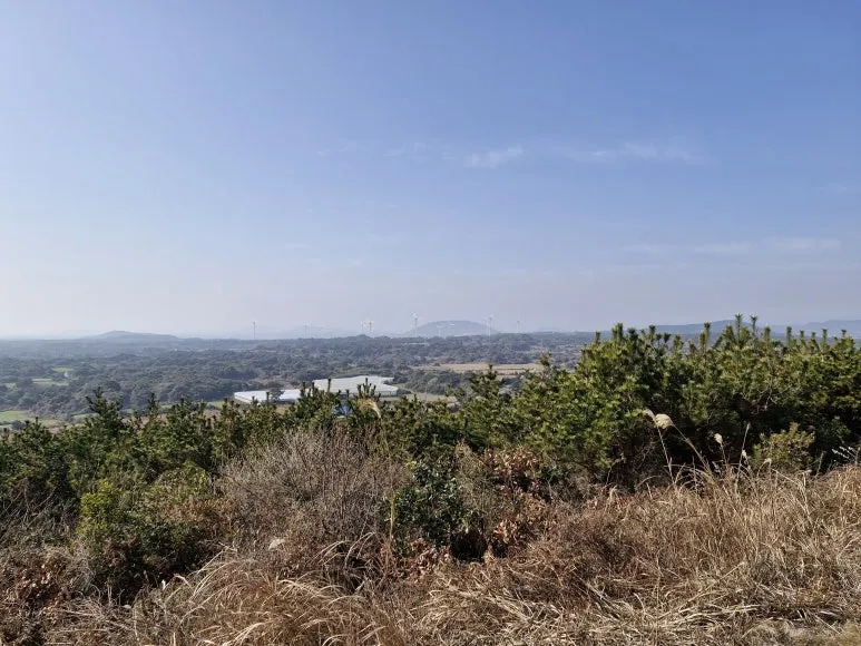 20260117_133142.jpg?type=w773