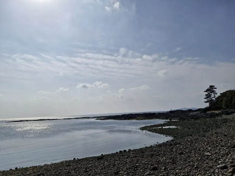 20260129_131827.jpg?type=w773