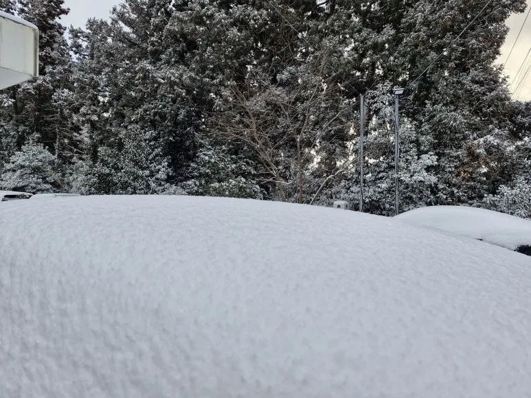 20260208_083629.jpg?type=w773