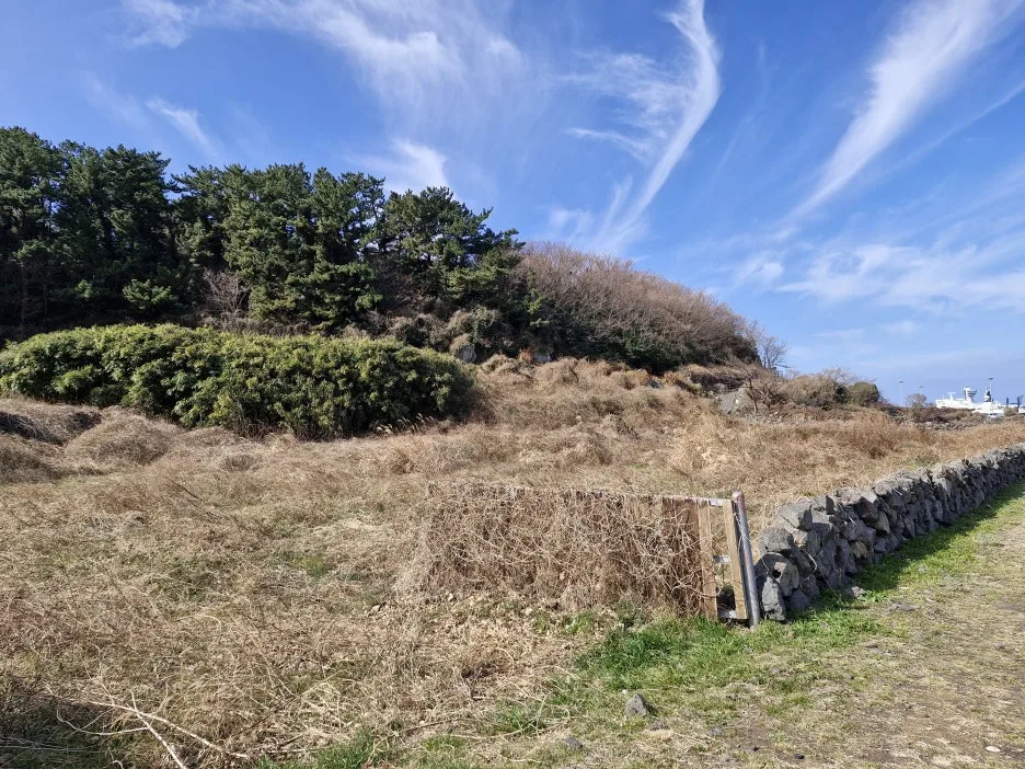 20260213_112134.jpg?type=w1