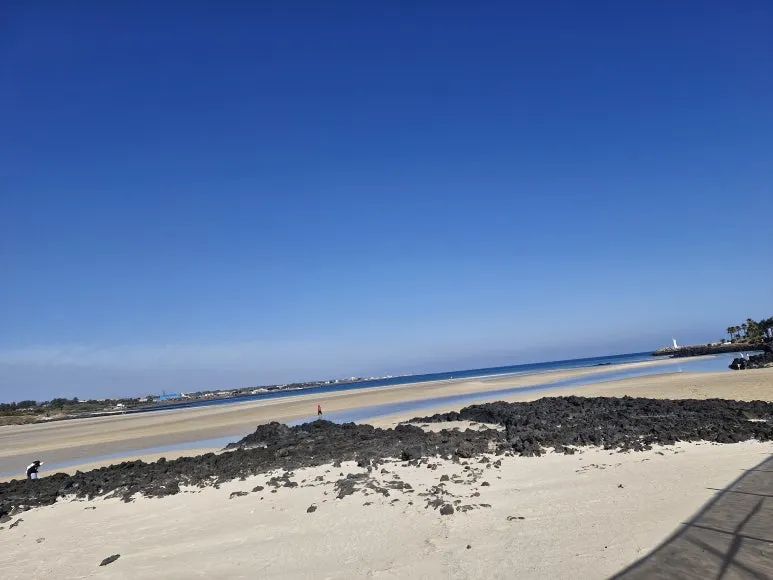 20260116_143110.jpg?type=w773