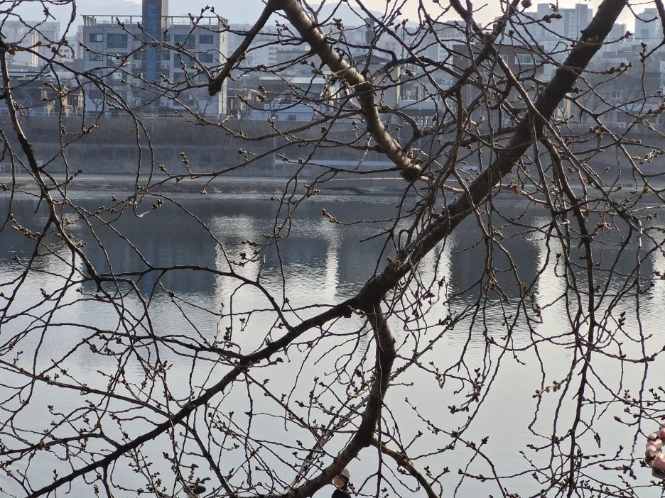 20260317_165720.jpg?type=w1