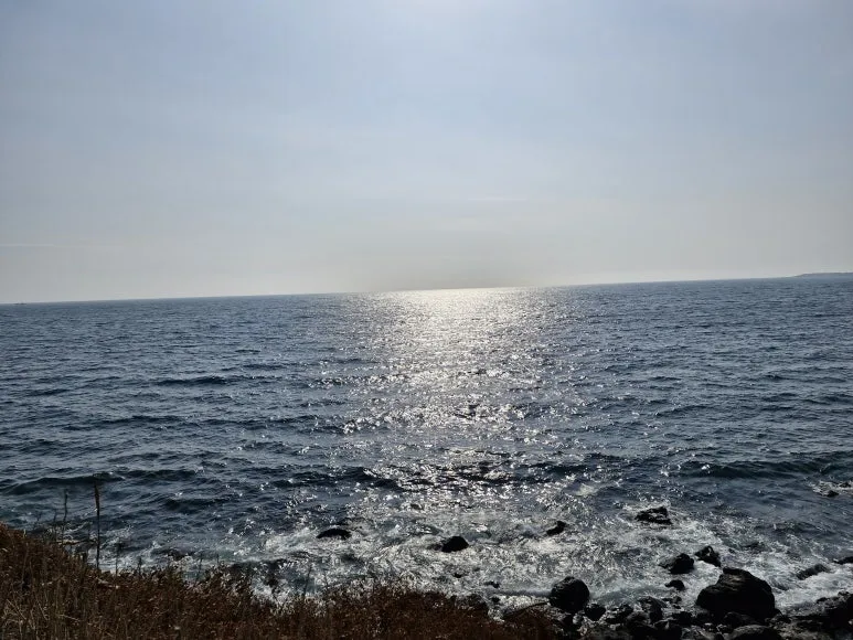 20260205_143542.jpg?type=w773