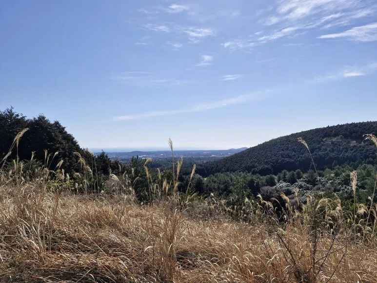 20260320_103655.jpg?type=w773