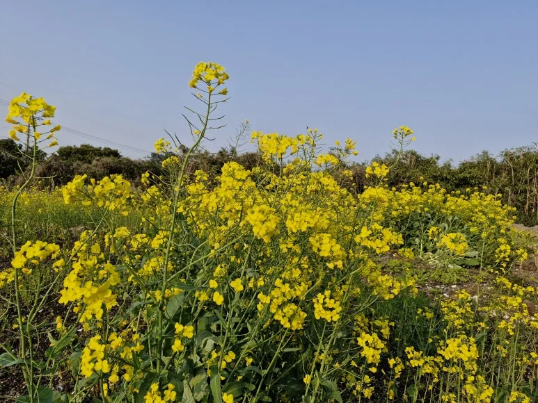 20260402_170854.jpg?type=w773