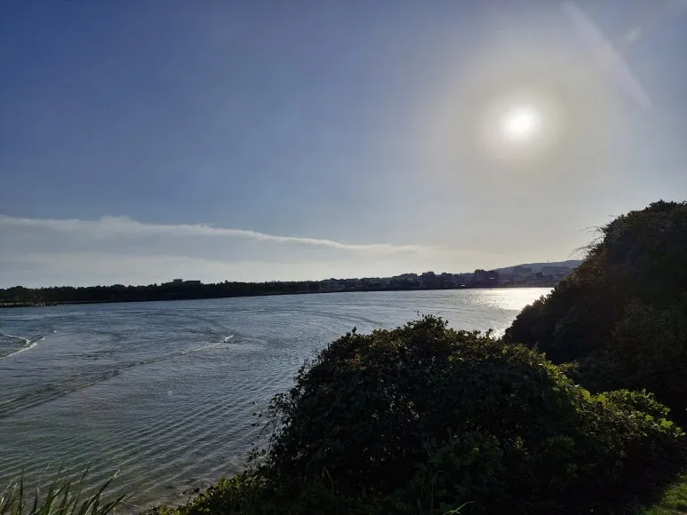 20251111_155511.jpg?type=w773