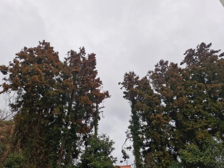 20260224_102656.jpg?type=w773