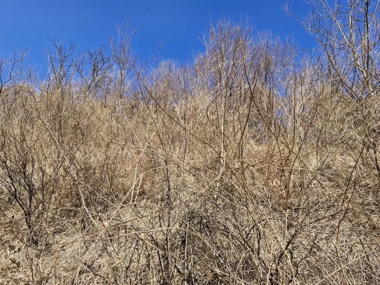 20260124_131835.jpg?type=w773