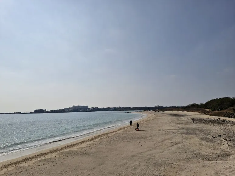 20260220_105521.jpg?type=w773