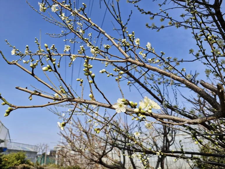 20260129_105903.jpg?type=w773