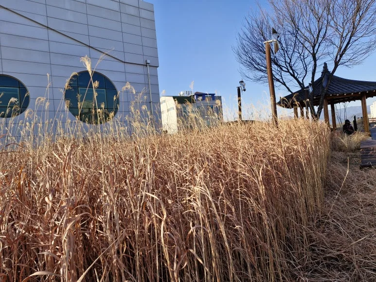 20260127_161850.jpg?type=w773