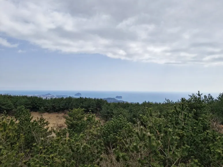 20260304_124134.jpg?type=w773