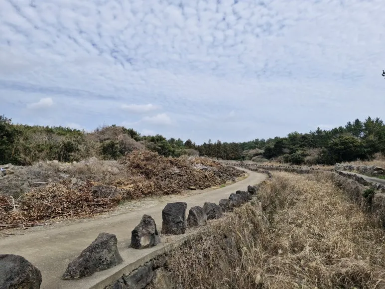 20260322_105516.jpg?type=w773