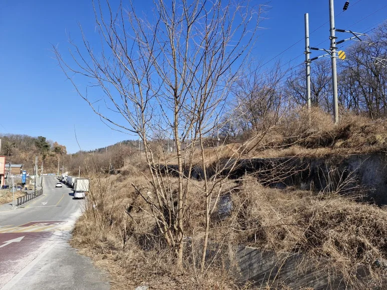 20260124_131051.jpg?type=w773