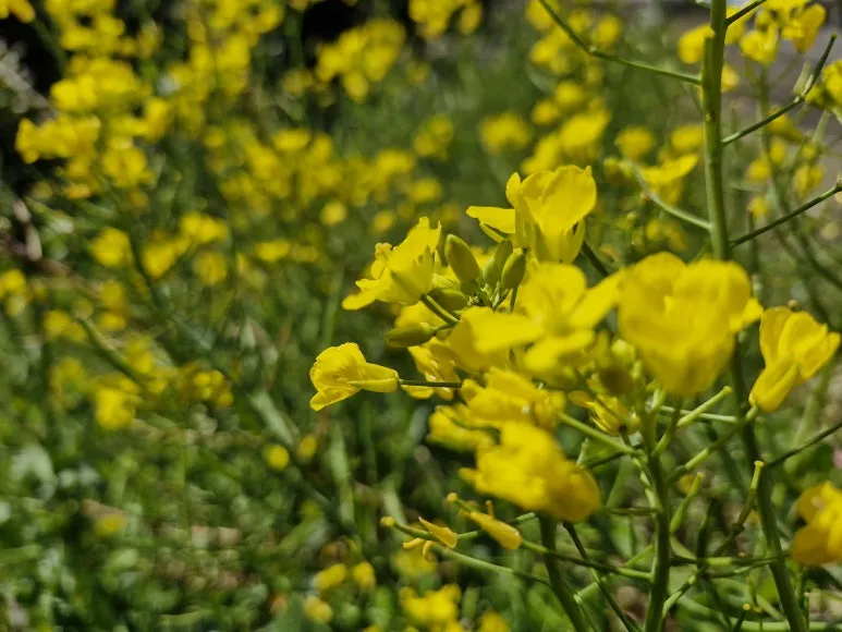 20260320_122921.jpg?type=w773