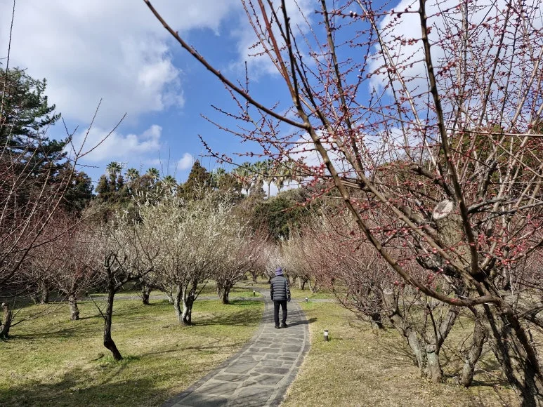 20260221_105326.jpg?type=w773