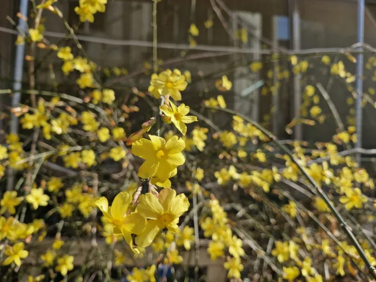 20260313_093933.jpg?type=w773