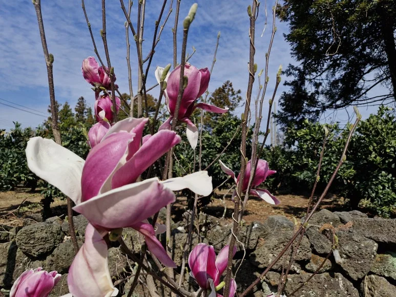 20260322_102103.jpg?type=w773